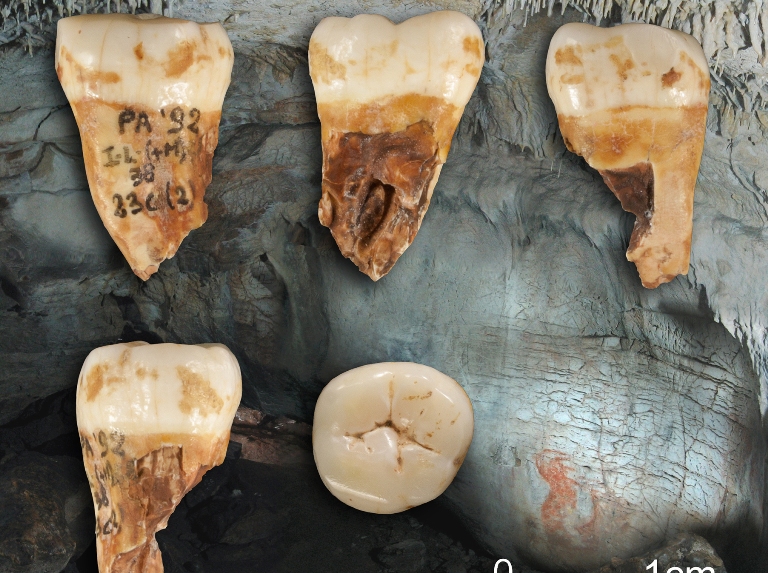 Il ritratto genetico delle popolazioni europee durante l’Era glaciale