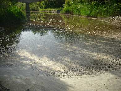 Puliamo il Mondo. Sabato 23 settembre appuntamento sul Fiume Orcia