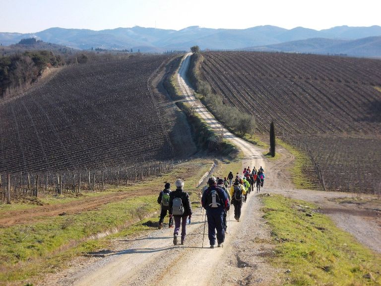 Tornano le passeggiate guidate nel Chianti con degustazione di vini