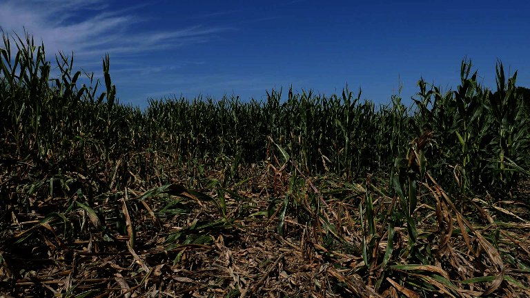 Chiusi: situazione insostenibile: agricoltori pronti alla protesta