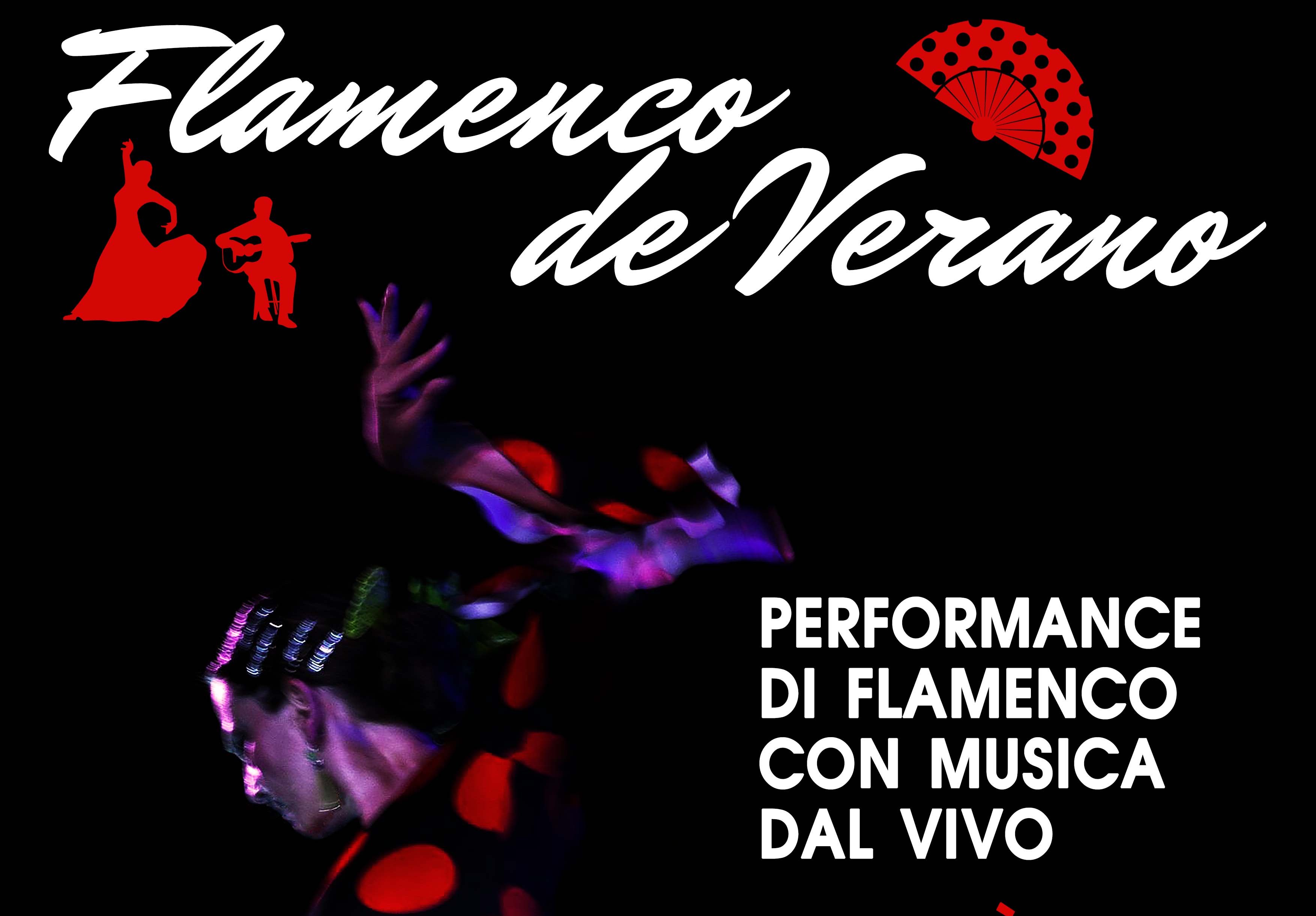 Il Flamenco de Verano a Stigliano