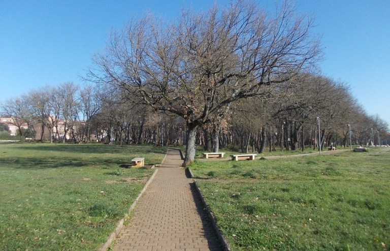 Pd: ‘La Curia si confronti con i cittadini sul progetto urbanistico nel Parco dell’Agrestone’