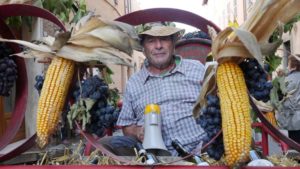 Festa uva_05