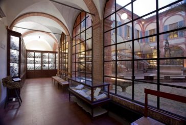 Apertura straordinaria al Museo di Storia Naturale dei Fisiocritici