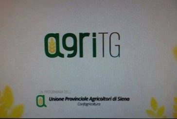 L’agricoltura senese in tv: l’Agritg in onda sulle reti locali