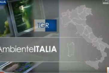 In Rai chiude anche “Ambiente Italia”