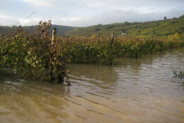 Sicurezza idrogeologica: verso la conferenza dei servizi