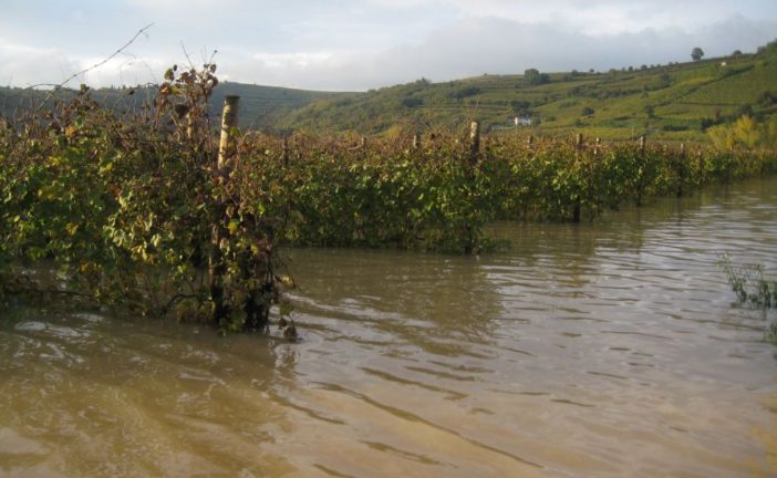 Regione: 4,5 milioni per prevenire i danni da calamità naturali in agricoltura
