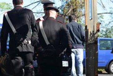 Una denuncia ed un arresto dei Carabinieri in provincia