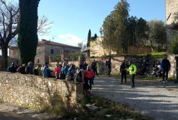 Da Siena a Torrita lungo la via Lauretana
