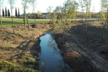 Il WWF Siena affronta il tema della riduzione del rischio fluviale
