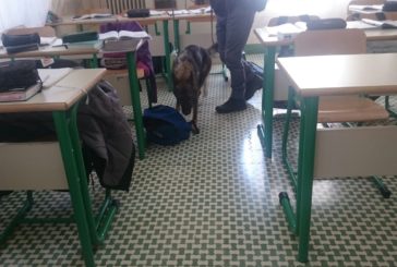 Cani antidroga della Polizia nelle scuole