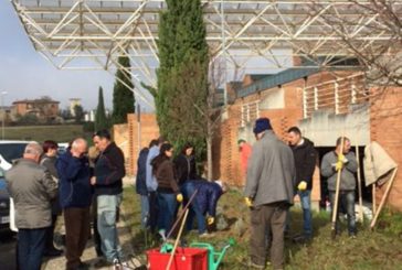 Festa dell’Albero, tradizione ultradecennale a Montepulciano