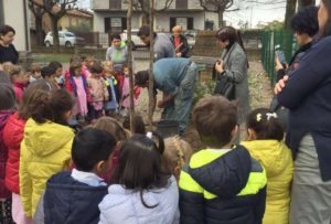 festa-albero-2016-scuole_3