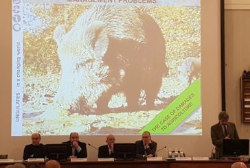 Più di 1 milione di euro i danni da fauna selvatica