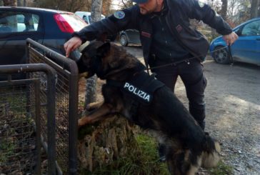 Chiusi: controlli antidroga nelle scuole