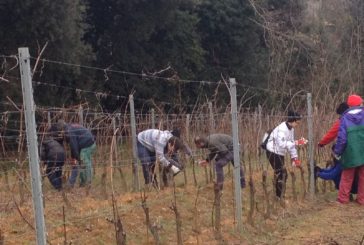 Open Day Ricasoli a Montalcino e Siena