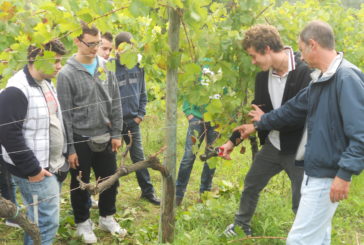 Open day al Ricasoli