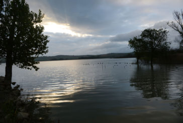 Lago di Chiusi: nuove regole per la pesca