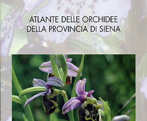 Disponibili i Quaderni Naturalistici della Provincia di Siena