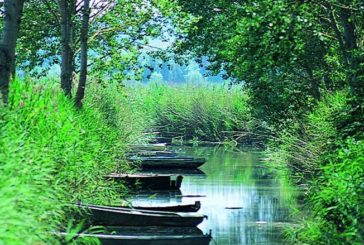 Tentativo di bracconaggio nel Lago di Montepulciano, il Comune ringrazia