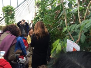 ortobotanicobimbi-19