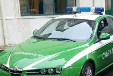 Radda: morta a 28 anni Carabiniera forestale
