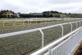 Il 21 marzo 77 cavalli impegnati a Pian delle Fornaci