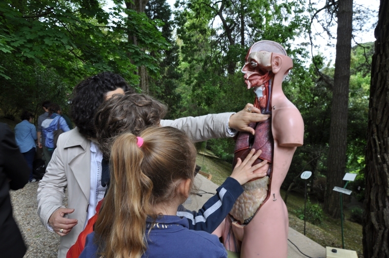 All’Orto Botanico i musei fanno festa per il divertimento di grandi e piccini