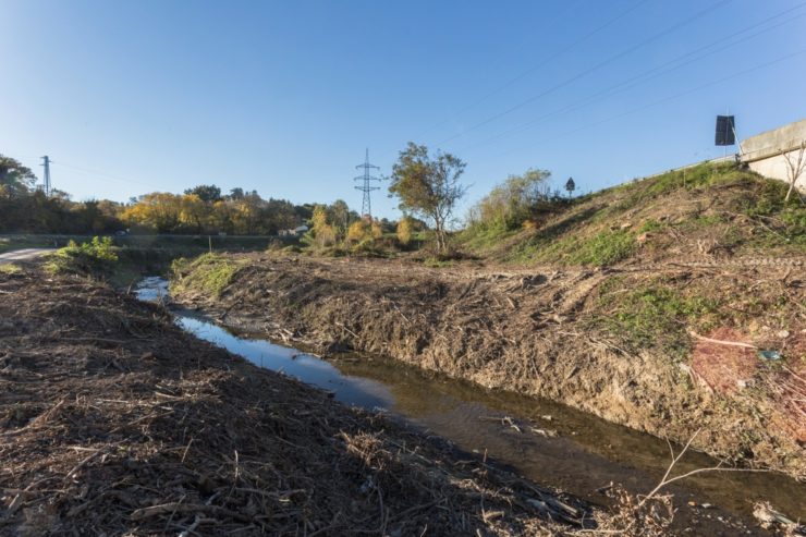 Vegetazione riparia: l’allarme delle associazioni ambientaliste