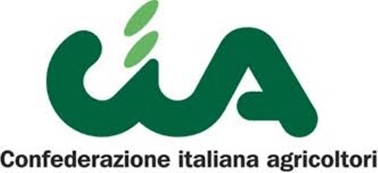 Giovani in agricoltura. Serve un cambio di marcia su Banca della terra