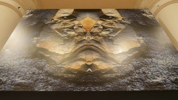 Tre mostre per “Diaframmi Chiusi NonStop Summer Edition”