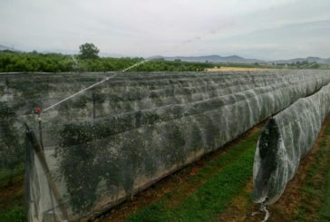 “Crisi idrica: il sistema Montedoglio e il Consorzio funzionano”