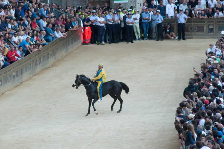 Procura di Siena: nessun prelievo ematico sui cavalli feriti al Palio