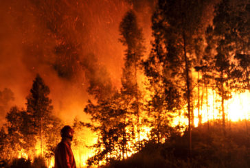 La Regione rafforza la prevenzione degli incendi boschivi