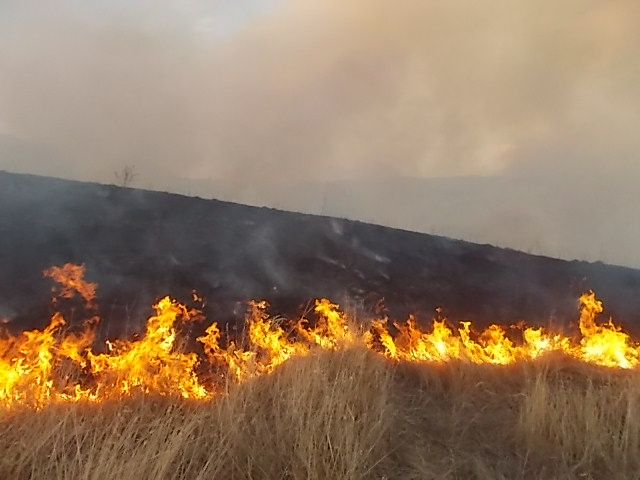 Coldiretti: “Con caldo e siccità +140% di incendi nei primi mesi del 2022”