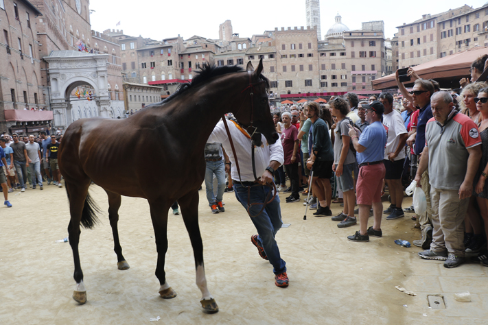 Il Palio e lo slalom tra i tavolini e i dehors