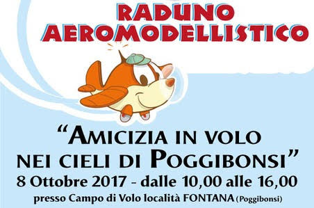 Piloti e aerei, arriva “Amicizia in volo nei cieli di Poggibonsi”