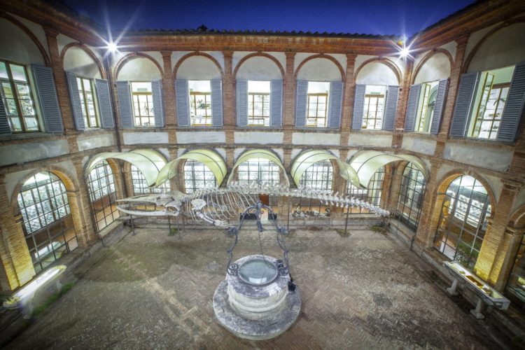 “L’occhio del visitatore”: concorso per fotoamatori targato Fisiocritici