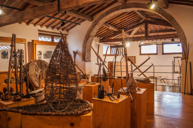Museo del Bosco di Orgia: le aperture fino a dicembre