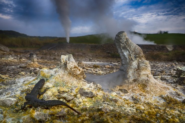 “La geotermia soddisfa il 30% del fabbisogno toscano”