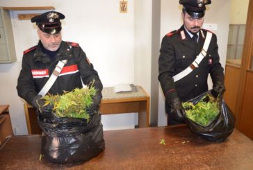 Tre pusher arrestati a Siena