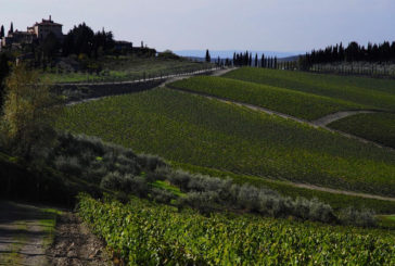 Aperte le iscrizioni alla 1^Chianti Trail Ultra