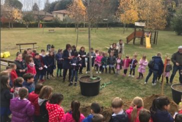 Giornata degli Alberi: tre tigli per i sogni dei bambini