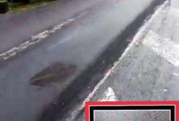 PIT: “Via Fortezza Medicea: lavori inconsistenti”