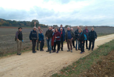 Domenica torna la Camminata tra gli Olivi a Murlo