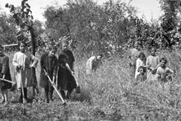 L’esperienza dell’Opera Sociale Agricola di Siena