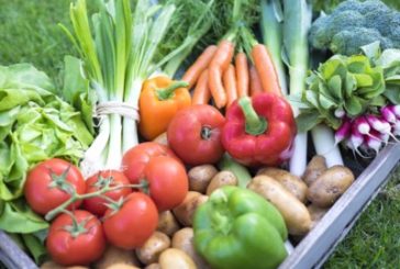 Ospedale di Campostaggia, sabato un convegno sui disturbi alimentari