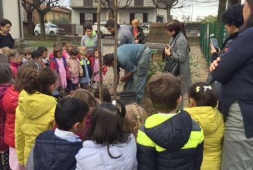 Festa dell’albero: domani i festeggiamenti