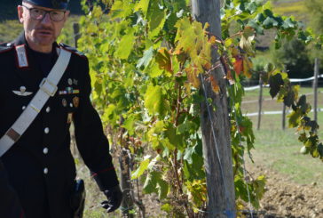 Azienda agricola truffata da due stranieri